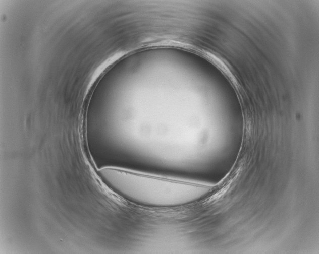 X0000059241149200510140814