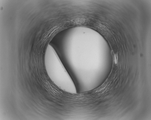 X0000059241155200510140813