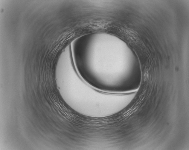X0000059241156200510140813