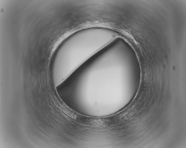 X0000059241167200510140813