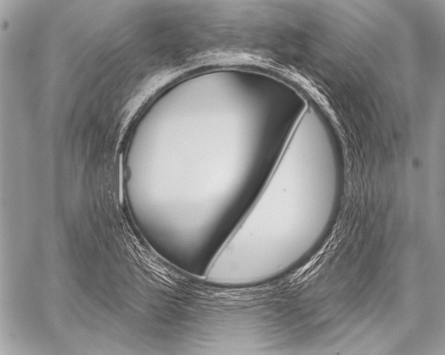 X0000059241175200510140813