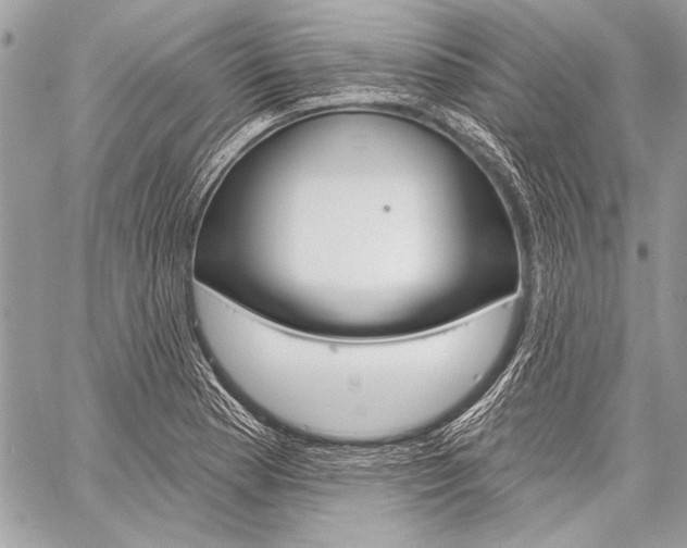 X0000059241177200510140813