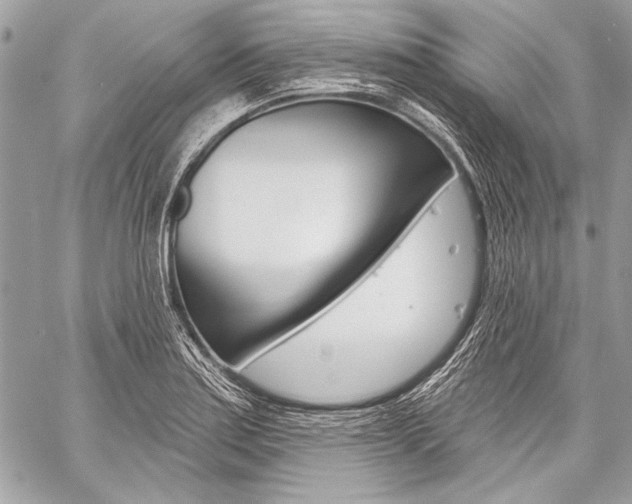 X0000059241179200510140812