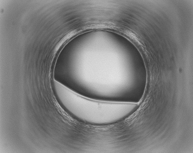 X0000059241181200510140812