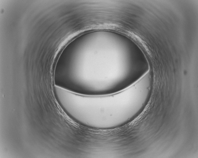 X0000059241184200510140812