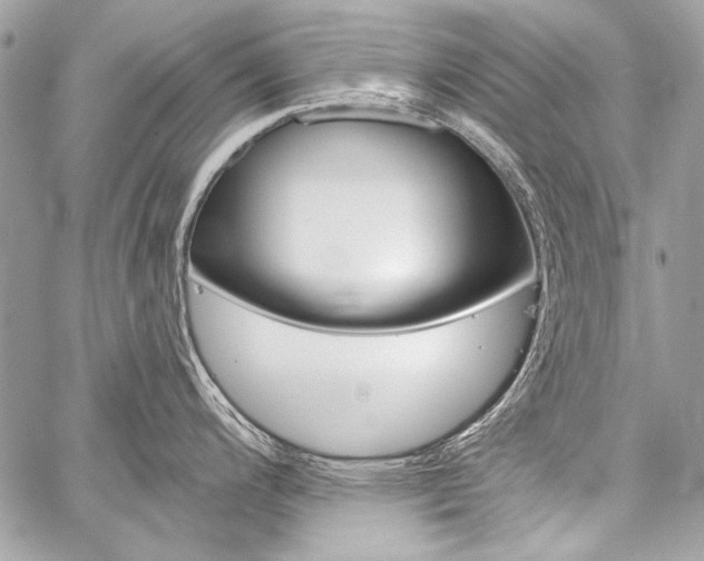 X0000059241200200510140812