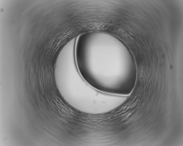 X0000059241202200510140811