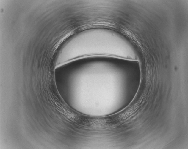 X0000059241210200510140812