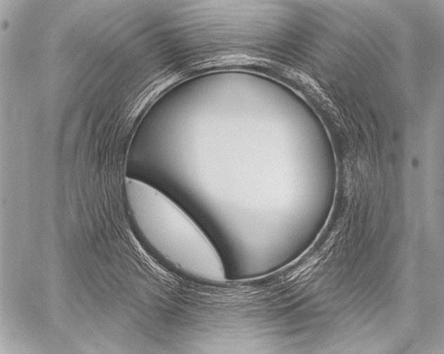 X0000059241225200510140812