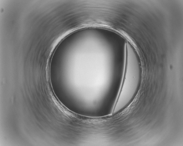 X0000059241246200510140812