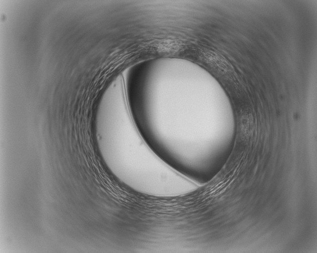 X0000059241249200510140811