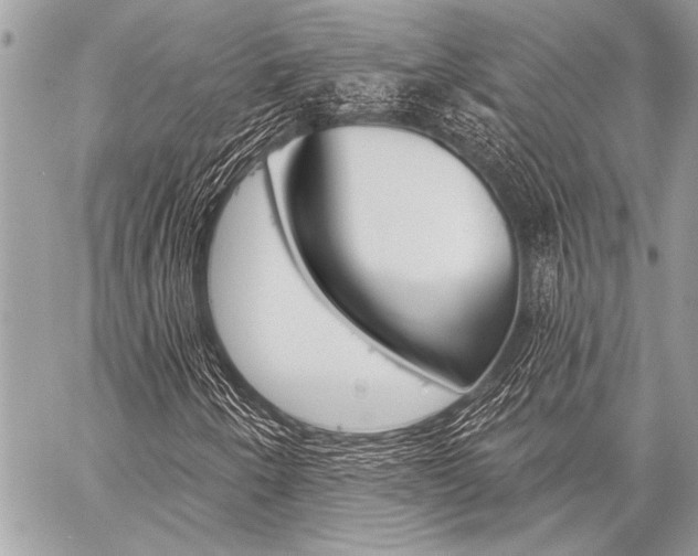 X0000059241250200510140811