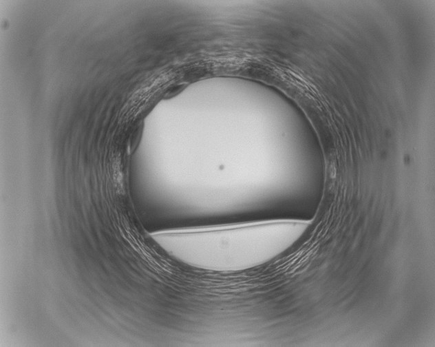 X0000059241252200510140811