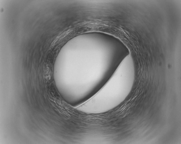 X0000059241253200510140811