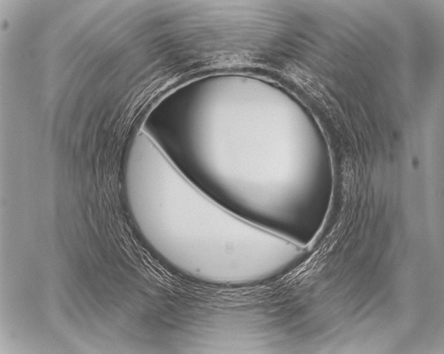 X0000059241265200510140811