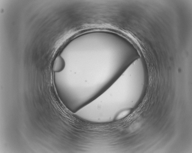 X0000059241271200510140811