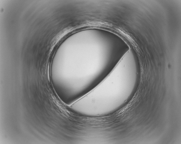 X0000059241272200510140811