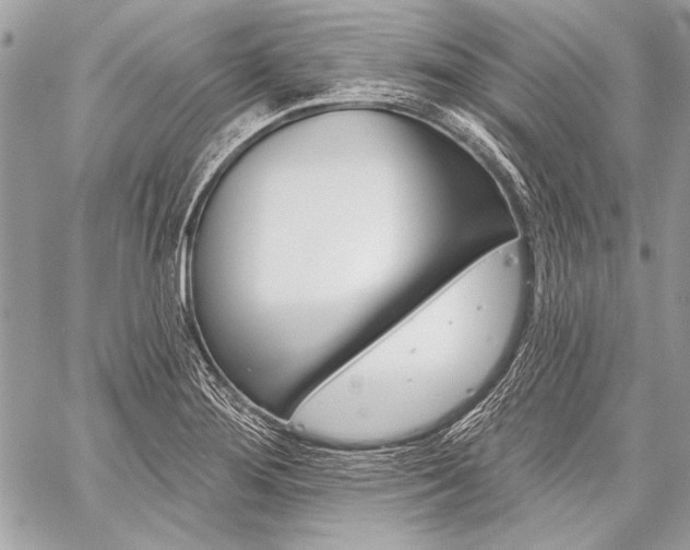 X0000059241276200510140811