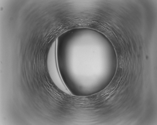 X0000059241298200510140810
