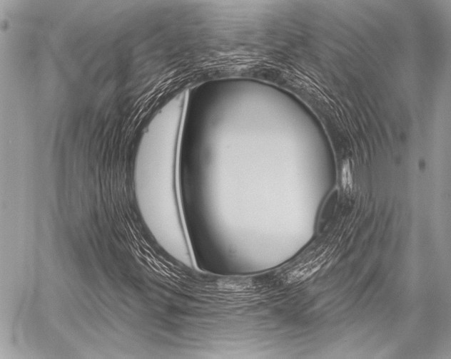 X0000059241299200510140810