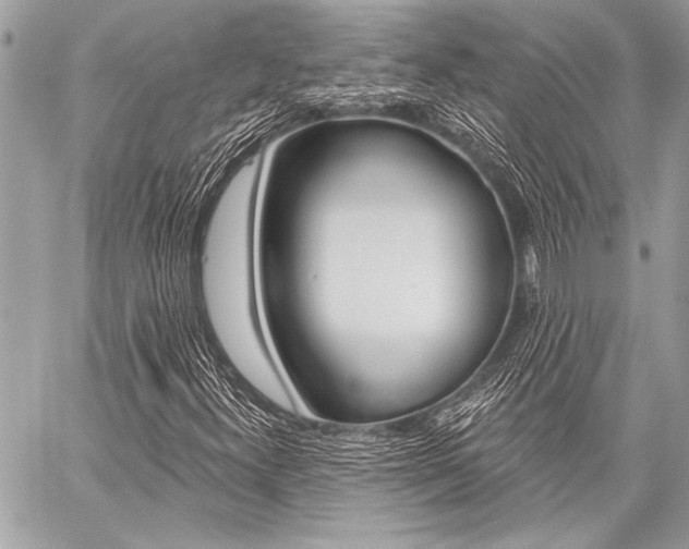 X0000059241300200510140810