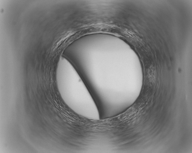 X0000059241302200510140810