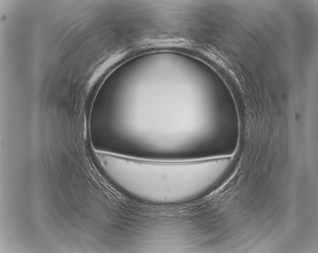 X0000059241317200510140810