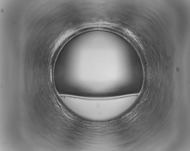 X0000059241320200510140810