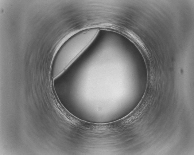 X0000059241332200510140810