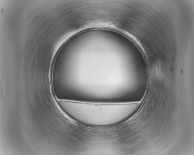 X0000059241343200510140811
