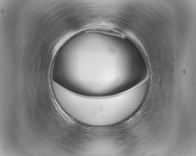 X0000059241344200510140811
