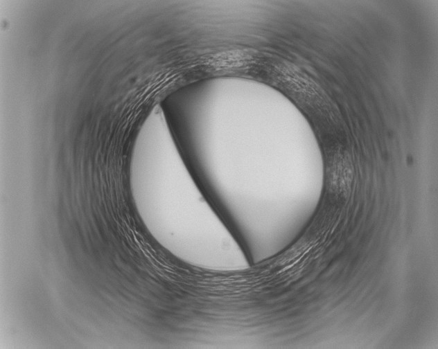 X0000059241346200510140810
