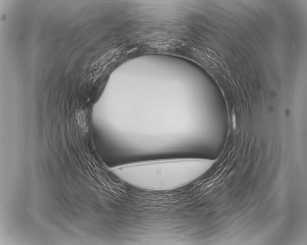 X0000059241347200510140810