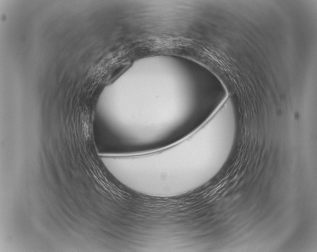 X0000059241348200510140810