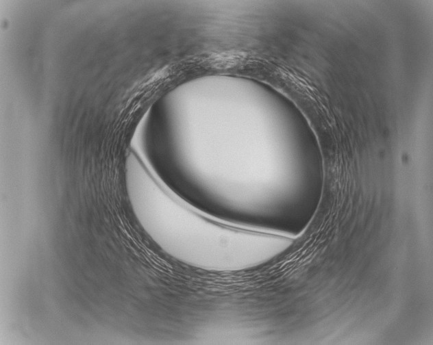 X0000059241349200510140810