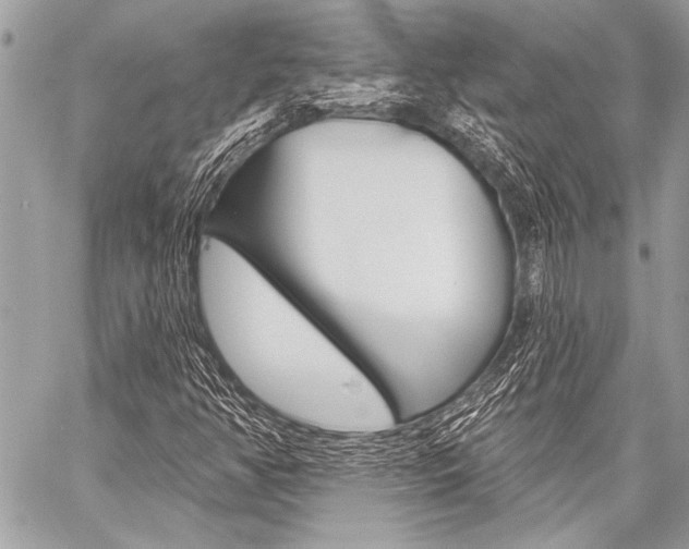 X0000059241350200510140810
