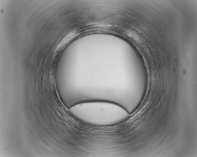 X0000059241354200510140810