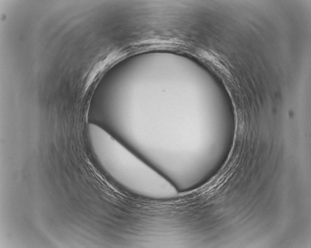 X0000059241357200510140810