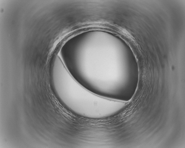X0000059241360200510140810