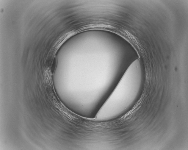 X0000059241369200510140809