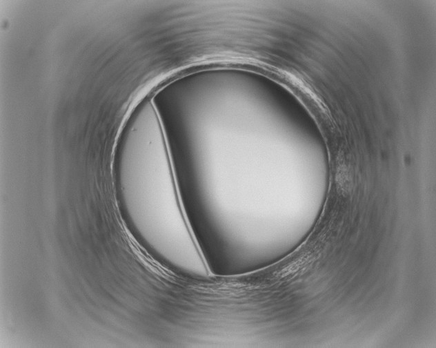 X0000059241372200510140809