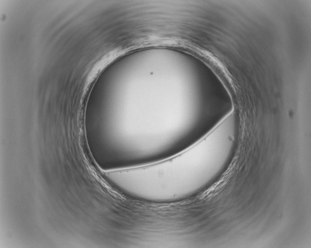 X0000059241373200510140809
