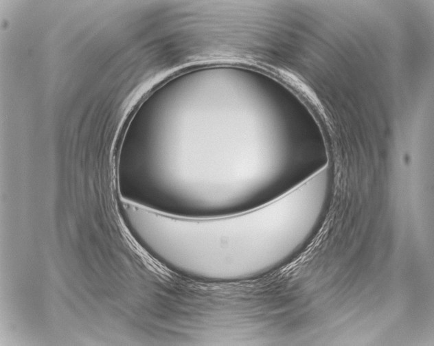X0000059241380200510140809