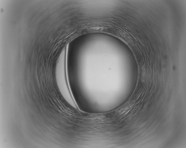 X0000059241394200510140808
