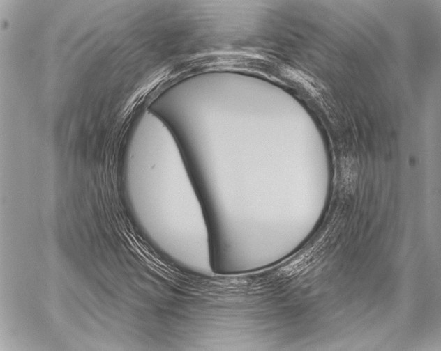 X0000059241403200510140808