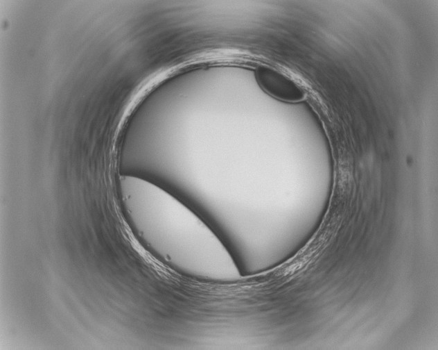 X0000059241421200510140809