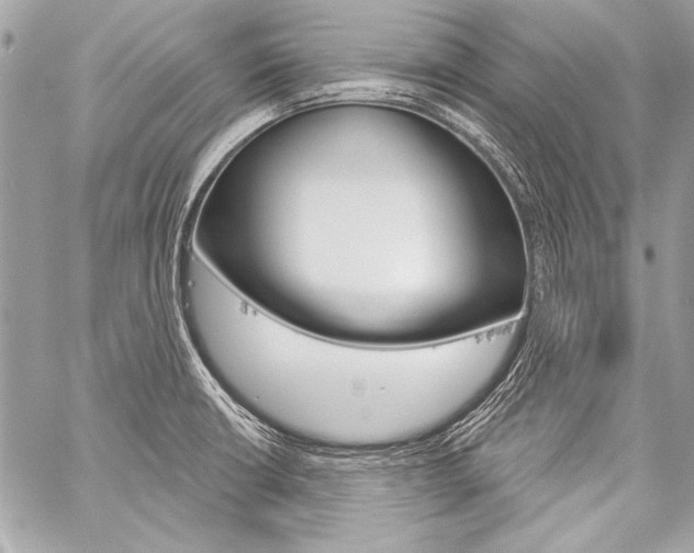 X0000059241426200510140809
