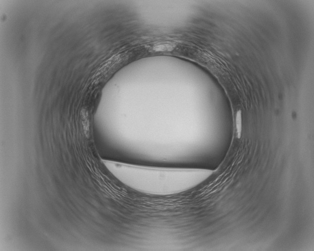 X0000059241443200510140808