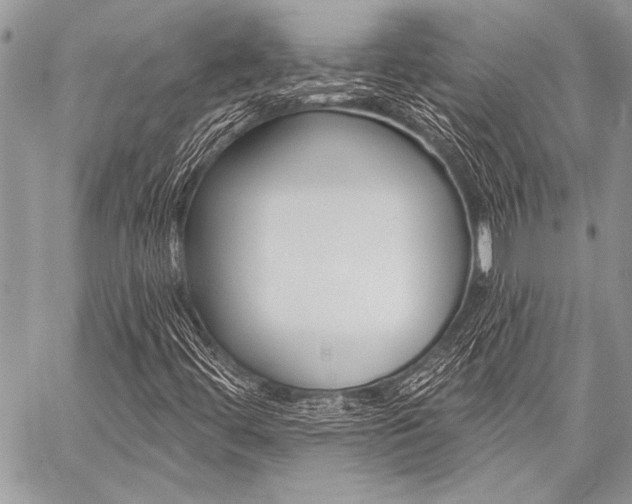 X0000059241444200510140808