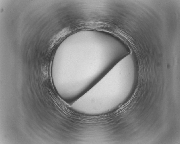 X0000059241451200510140808